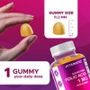 Sugar Free Folic Acid 1 mg - 120 Gummies - 3 of 4