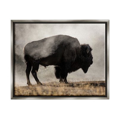 Stupell Industries Powerful Bison Grazing Foggy Rural Pasture PhotographyFloater Canvas Wall Art
