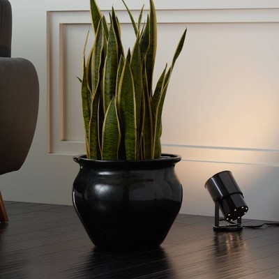 Black Adjustable Metal Indoor Uplighting Accent Spotlights Set
