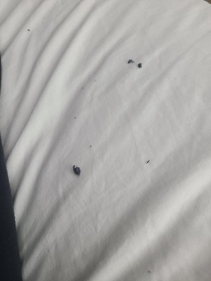 Guest review image 2 of 2, zoom in