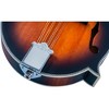 Washburn M3SEBRK F-Style Mandolin Brown Burst - 4 of 4