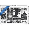 Trends International DC Comics Batman: 85th Anniversary - Sketches Unframed Wall Poster Prints - 3 of 4