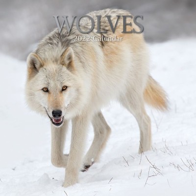 The Gifted Stationery 2021 - 2022 Wolf Monthly Wall Calendar, 16 Month, Animals Theme with Reminder Stickers, 12 x 12 in