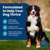 Blue Buffalo Life Protection Formula Natural Adult Dry Dog Food with Fish and Brown Rice - 4 of 4
