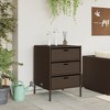 vidaXL Patio Storage Cabinet Brown 21.7"x23.2"x31.5" Poly Rattan - 3 of 4