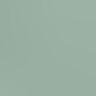 lily pad green