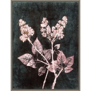 Amanti Art Lilac 1 Blush Dark Green by Pernille Folcarelli Canvas Wall Art Print Framed 18 x 24-in. - 1 of 4