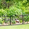 GustoWave Decorative Garden Fence 4/6 Pack, 23.6in (H) x 7.9ft (L) Rustproof Metal Border Fences Decor Animal Barrier for Yard Outdoor - 3 of 4
