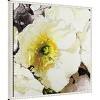 Amanti Art White Poppies Up Close Neutral by Shirley Novak Framed Canvas Wall Art - 3 of 4