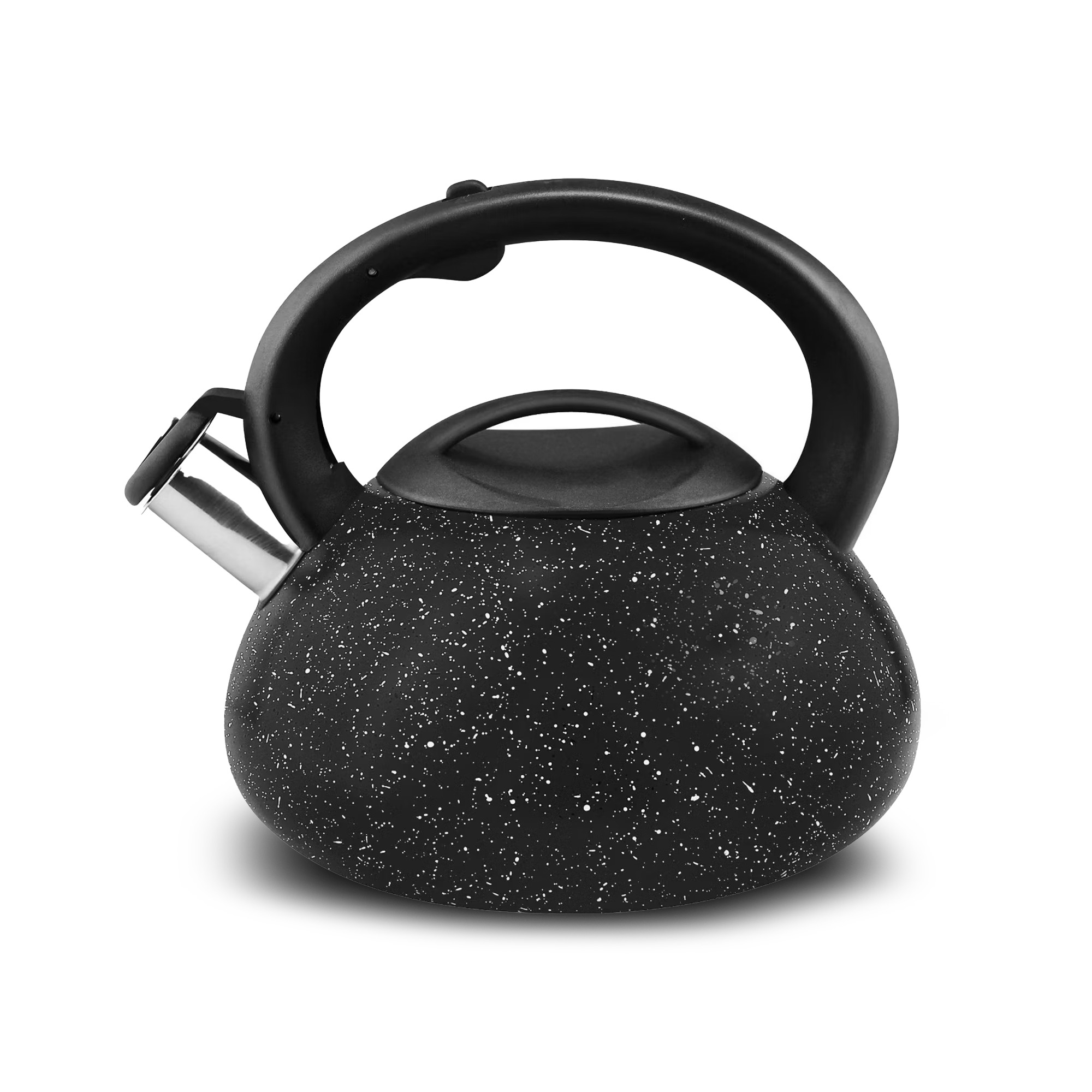 Stainless Steel Tea Kettle