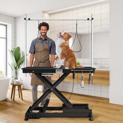 Electric pet grooming table, 110V/220V professional groomer recommend