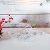 Rn'ds Clear Fillable Ornament Bulbs - 24 Pack : Target