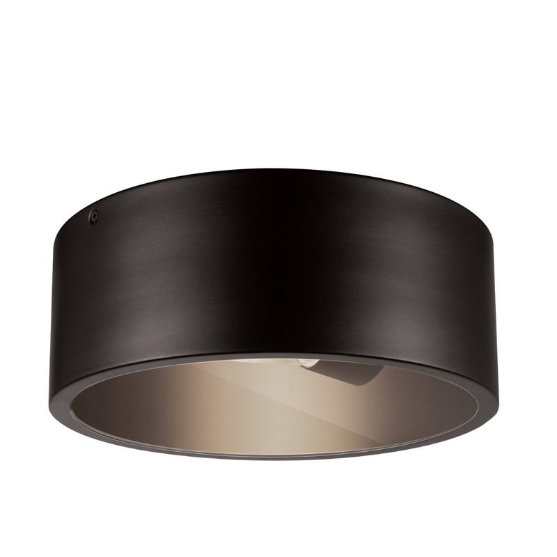 1 Light Teagan Outdoor Indoor Flush Mount Ceiling Dark Bronze - Globe Electric, 1 of 8