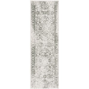 Adirondack ADR109 Non-Shedding Power Loomed Indoor Rug - Safavieh - 1 of 4