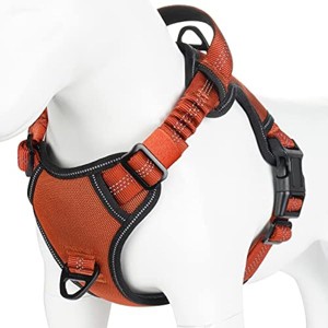 rabbitgoo Dog Harness for Large Dogs No Pull, Upgrade Escape, Unique Bungee, Durable Nylon Surface, Comfy Soft Safe Control Handle & Reflective - 1 of 1