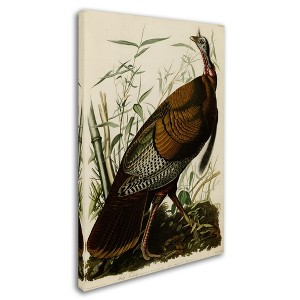 Trademark Fine Art -John James Audubon 'American Wild Turkey Cock' Canvas Art - 1 of 3
