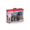Schleich Beauty Criollo Definitivo Mare Animal Figure - 4 of 4