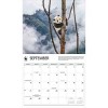 BrownTrout 2025 Wall Calendar 12"x14" Giant Pandas WWF - 4 of 4