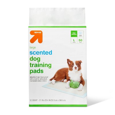 Scented wee outlet wee pads