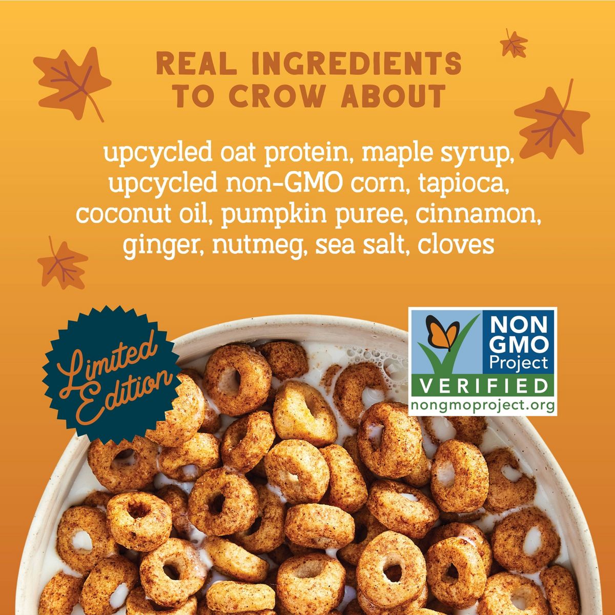 Seven Sundays Pumpkin Oat Protein Cereal - 8oz - thumbnail 2