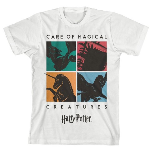 school of magic harry potter