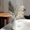 Alilang Natural Pampas Grass and Bunny Tail Dried Floral Arrangement, 17.5 Inches - Gray - 2 of 4
