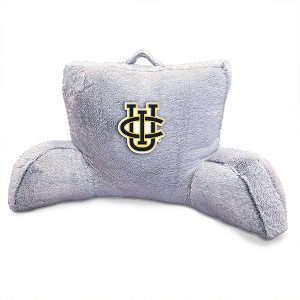 NCAA UC Irvine Anteaters Faux Fur Backrest - 1 of 1