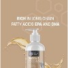 Pet Health Pros Omega 3 Pro Liquid Fish Oil Supplement for Dogs and Cats; Skin and Coat Health; Hair Growth; Essential Fatty Acids; 8oz Bottle; Clear - 3 of 4
