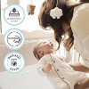 Modera Baby Organic Cotton 2 Stage Lightweight Baby Crib Mattress - 52"x27x4" - 4 of 4