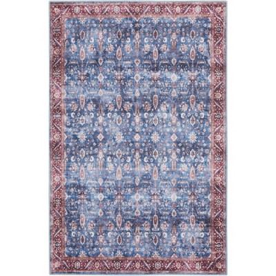 Nourison Washable Brilliance Bordered Vintage Indoor Rug
