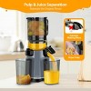 Aeitto Max5 Masticating Juicer, Cold Press Juicer Machines with 5.3" Large Feed Chute,1.7L Large Capacity, 250W Whole Slow Juicer - 4 of 4