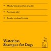 Marigold Cedarwood Waterless Dog Shampoo - 7oz - Kindfull™ - 4 of 4