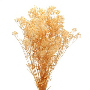 Unique Bargains Natural Dried Baby's Breath Flowers Branches for Wedding Party Decoration White 1 Pc - 1 of 4