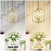 DOMETOUR Farmhouse 4-Light Vintage Cage Chandelier, Adjustable Height for Kitchen/Dining/Foyer, Gold+Matte Black (E12 Bulbs Not Included) - 3 of 4