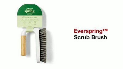 Palm Brush - Everspring™ : Target