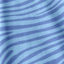 french blue zebra