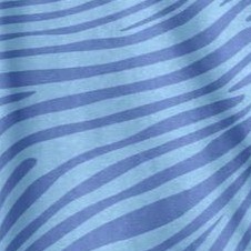 french blue zebra