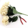 Floral Home 20" Beige Hydrangea with 7 Silk Flowers & Leaves - 2-Piece - 4 of 4