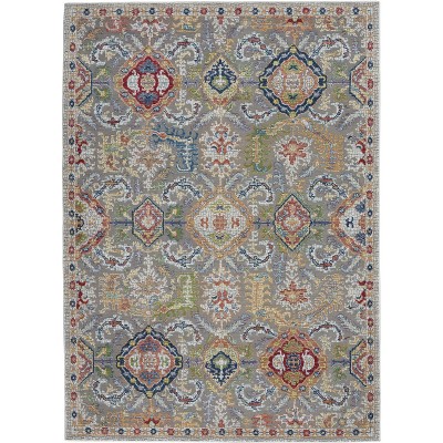 Nourison Global Vintage Traditional Bordered Indoor Area Rug