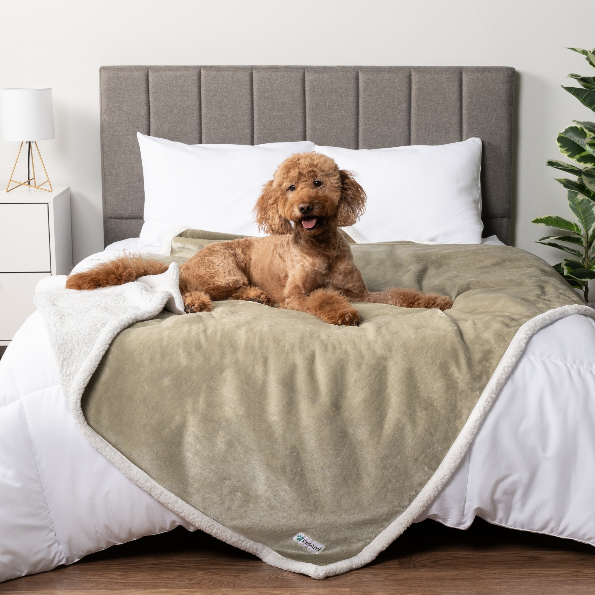 PetAmi Waterproof Dog Blanket for Bed Couch Sofa Cover, Reversible Faux Shearling Fleece Pet Throw (Taupe, Queen 90 x 90 Inches)