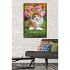 Trends International Keith Kimberlin - Maine Coon Kitten Framed Wall Poster Prints - 2 of 4