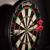 Franklin Sports 18" Grade A Dartboard Set - 2 of 4
