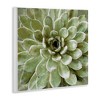 Stupell Industries Green Botanical Succulent Bloom, 12" x 12" - 3 of 4