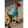 Parisian Pet 'I'm Kind of a Big Deal' Humorous Dog Shirt – Embroidered Graphic Pet T-Shirt for Dogs & Cats, Light Blue - 4 of 4