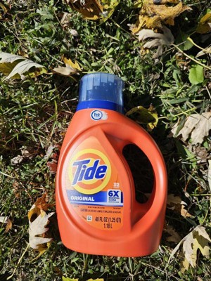 Guest review image 2 of 4, zoom in