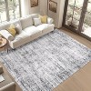 Coucheta Washable Area Rug Non-Slip Low Pile Vintage Distressed Carpet for Living Room Bedroom Office, Retro Farmhouse Style, Multi-Color & Size - 2 of 4