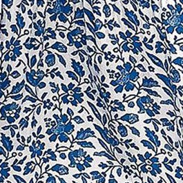 blue and white