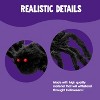 Joyfy 6.5 ft Spider Halloween Outdoor Decorations Large Hairy Props, Black Spider Decorations, Realistic Spider Party Supplies Yard House Décor - 4 of 4