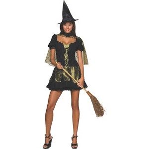 Women’s Secret Wishes Wicked Witch Costume - 1 of 2