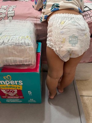 Guest review image 2 of 2, zoom in